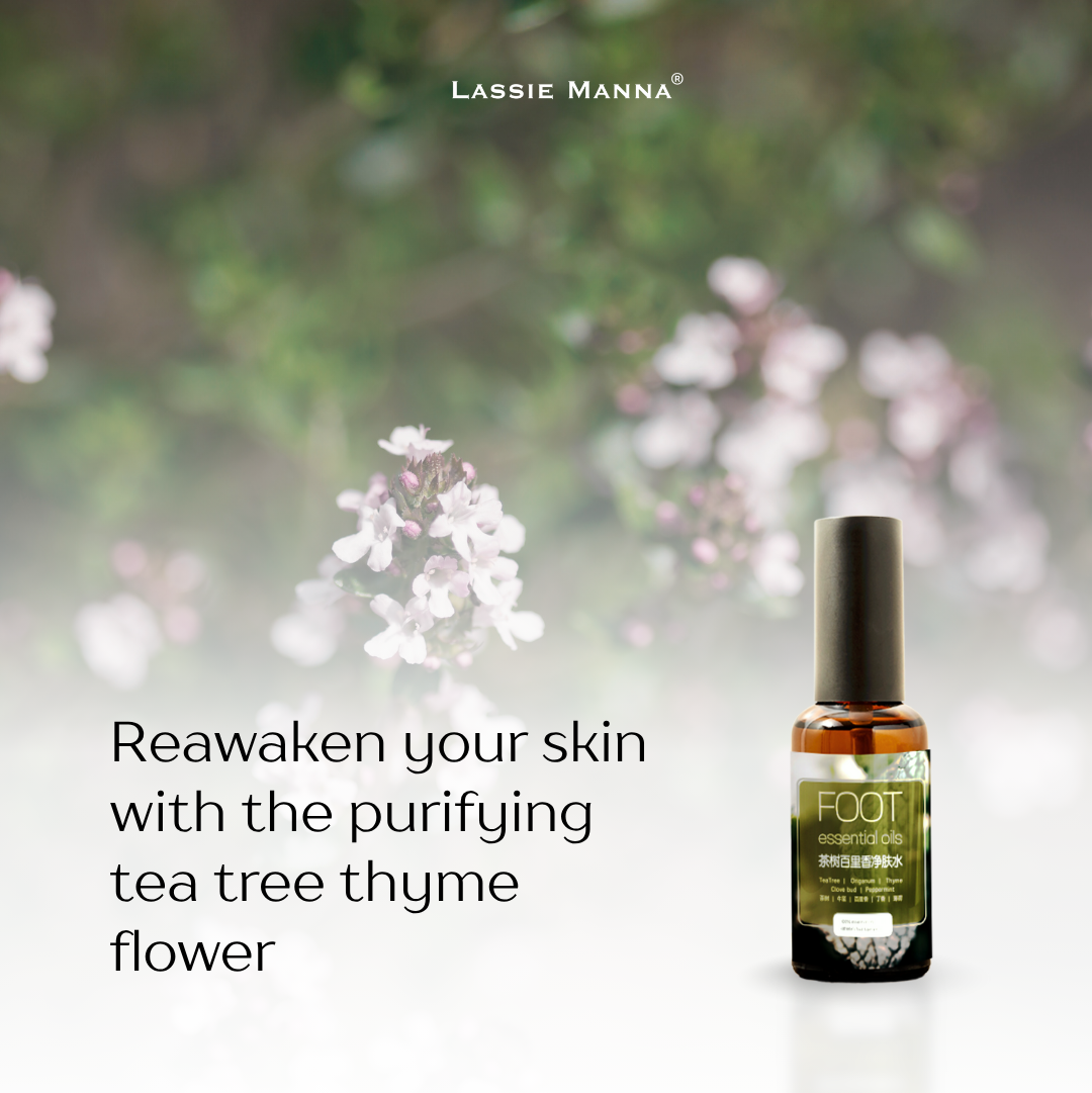 Tea Tree Thyme Flower Essential Oil