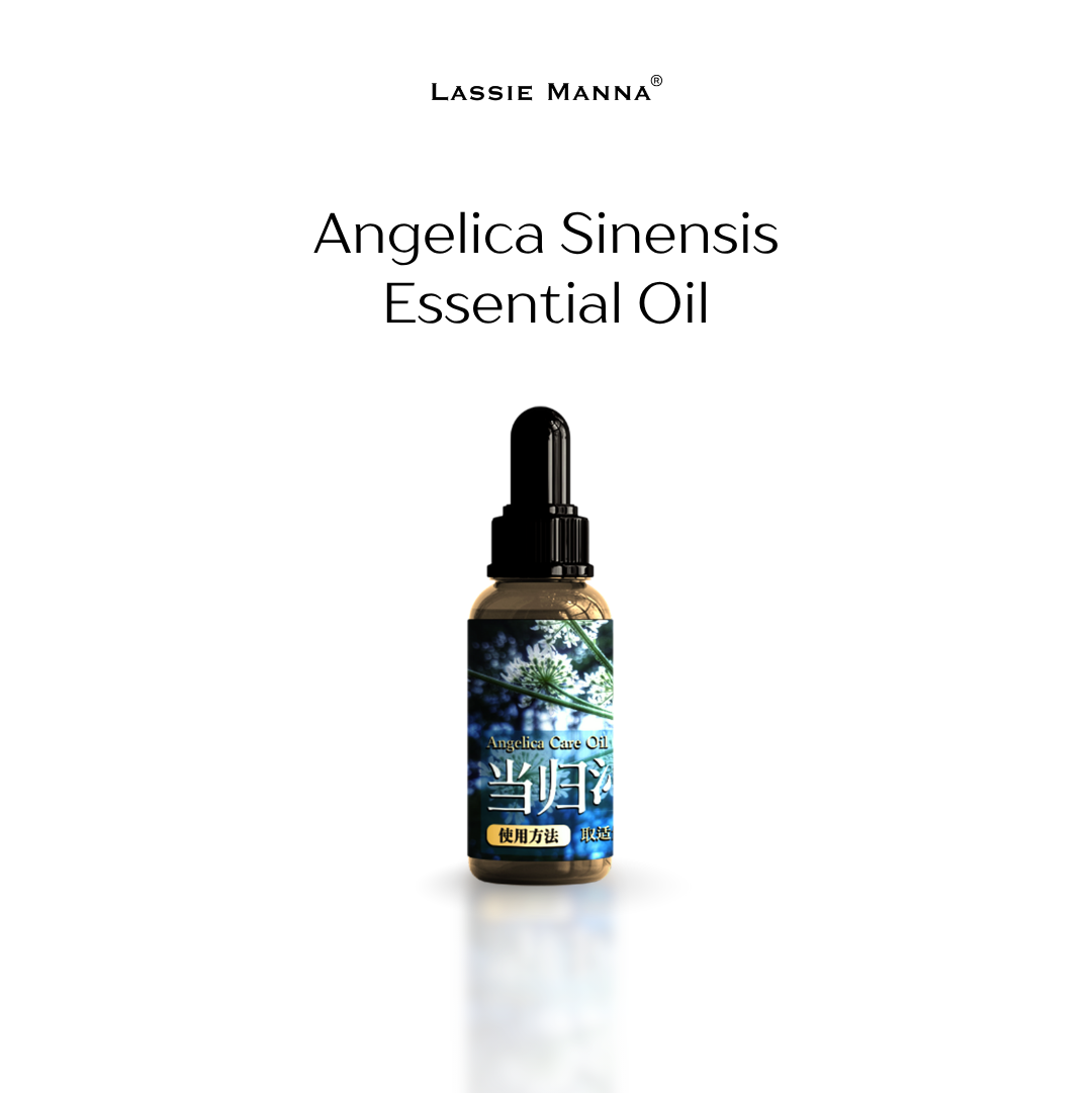 Angelica Sinensis Essential Oil