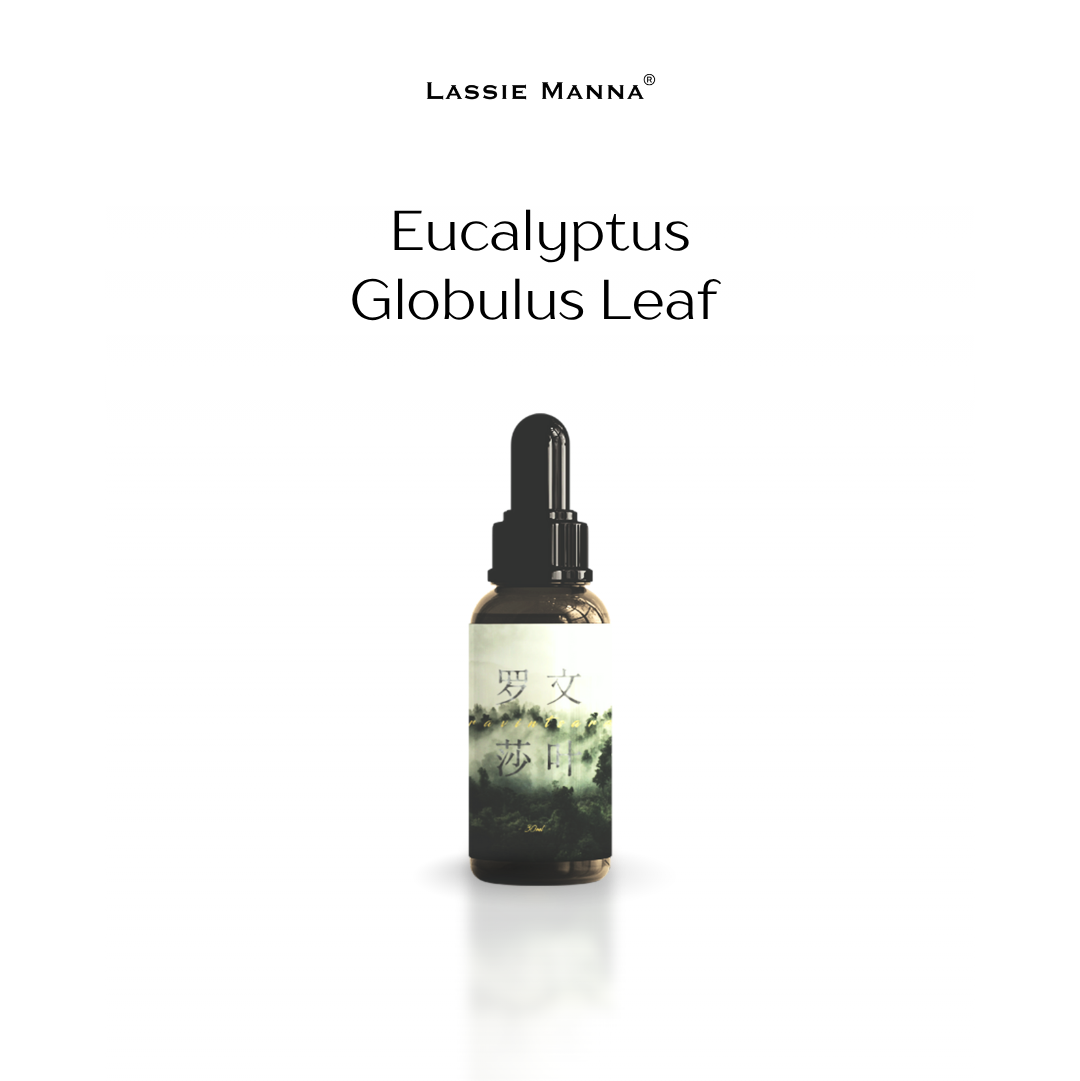 Eucalyptus Globulus Leaf Essential Oil