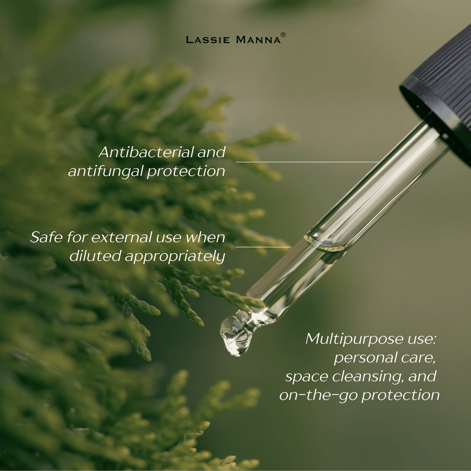 Oregano Cypress Essential Oil